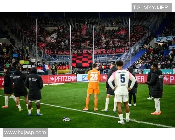 霍芬海姆客场终结勒沃库森主场不败纪录，取得关键三分！